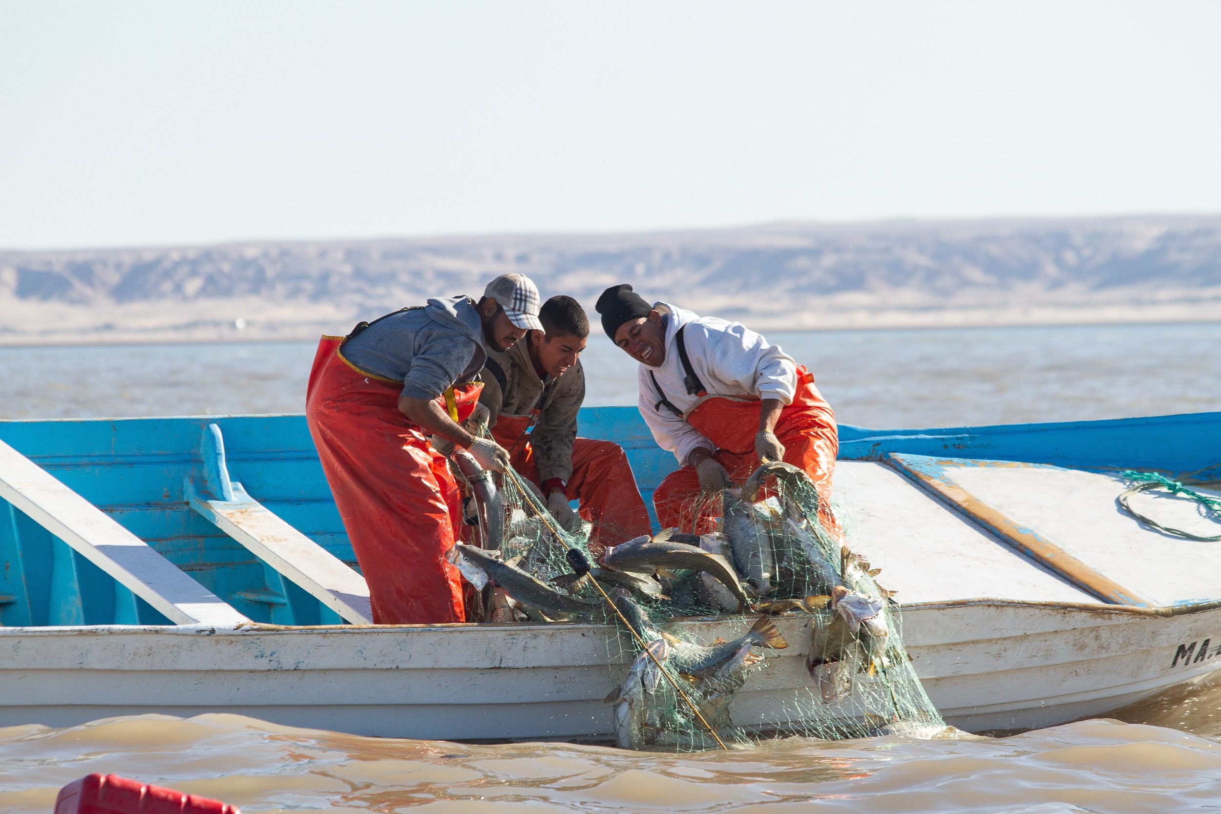 Salvar la pesca es la prioridad - Oceana México