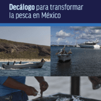 Decálogo para transformar la pesca en México