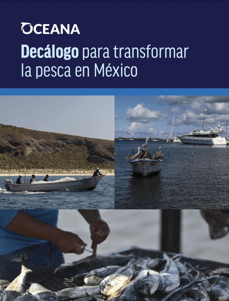 Decálogo para transformar la pesca en México