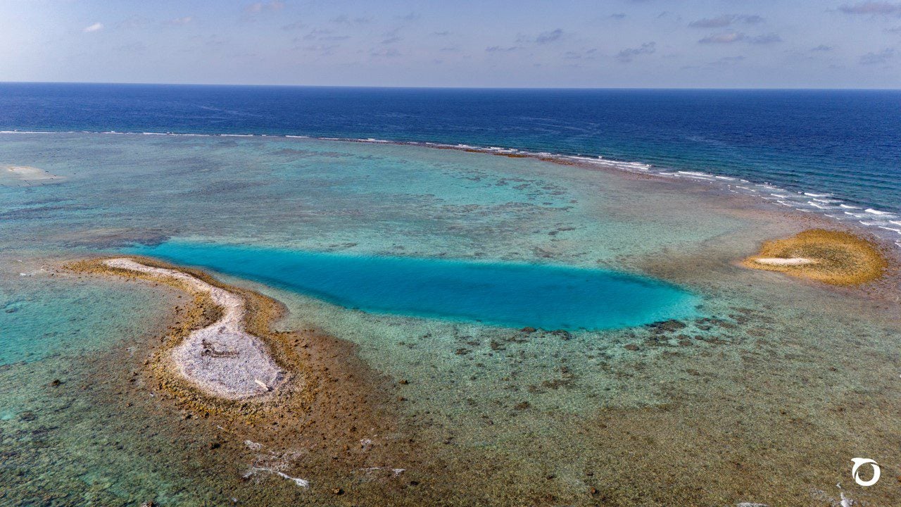 Avances en conservación marina 2024