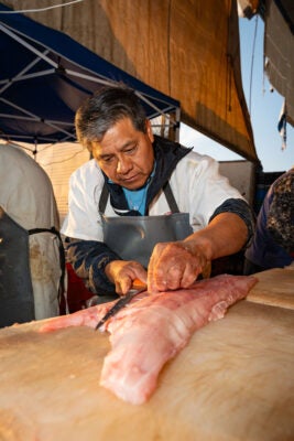 Aprende a elegir pescados y mariscos frescos de calidad en el martes de frescura. Consejos expertos para comprar productos del mar y apoyar a pescadores mexicanos