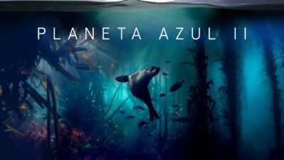 Poster Planet 11 foca marina en océano azul documental vida acuática